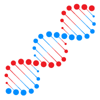 DNA(デオキシリボ核酸)
