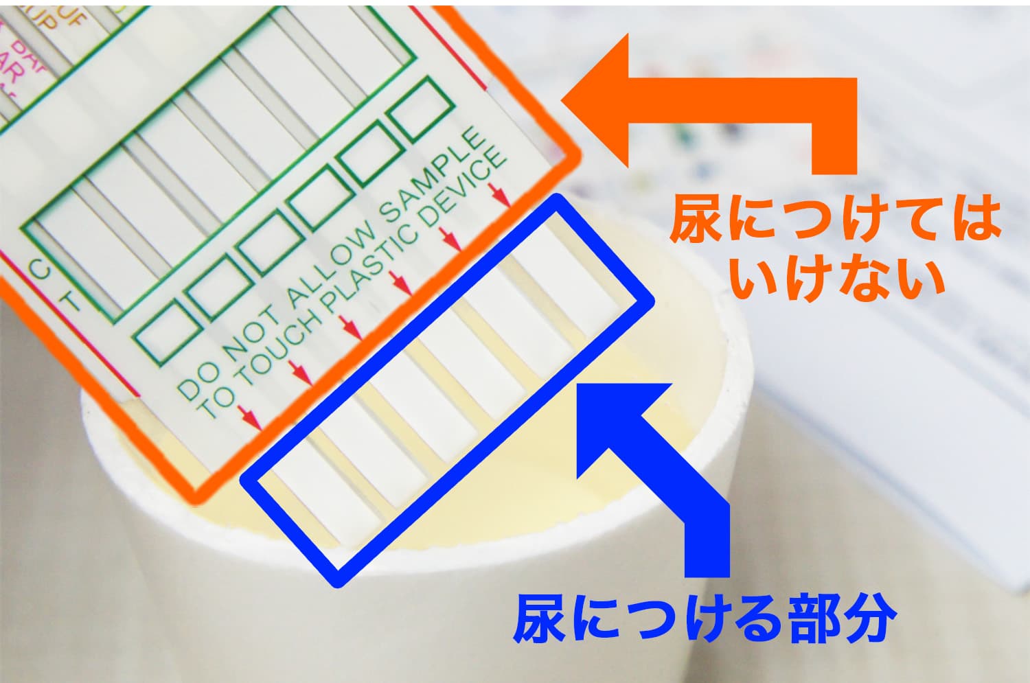 尿につける部分とつけてはいけない部分の図解
