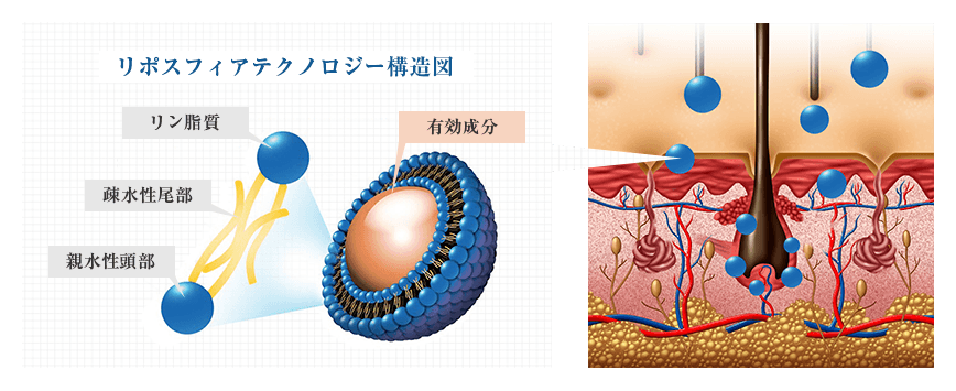 リポスフィアテクノロジー構造図