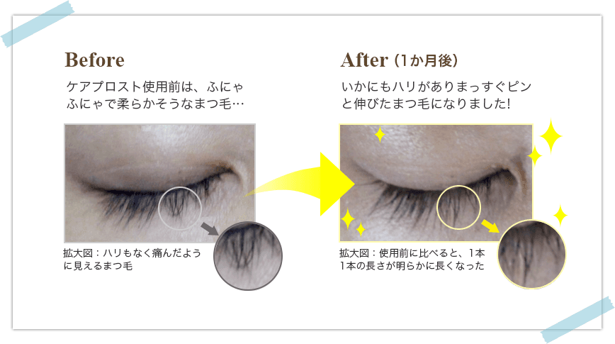 使用前と使用後比較写真
