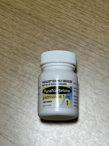 パナフコルテロン1mg 【1本100錠】 レビュー投稿画像 サムネイル