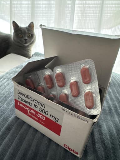 [クラビットジェネリック]レボクイン500mg 【1箱100錠】 レビュー投稿画像 サムネイル
