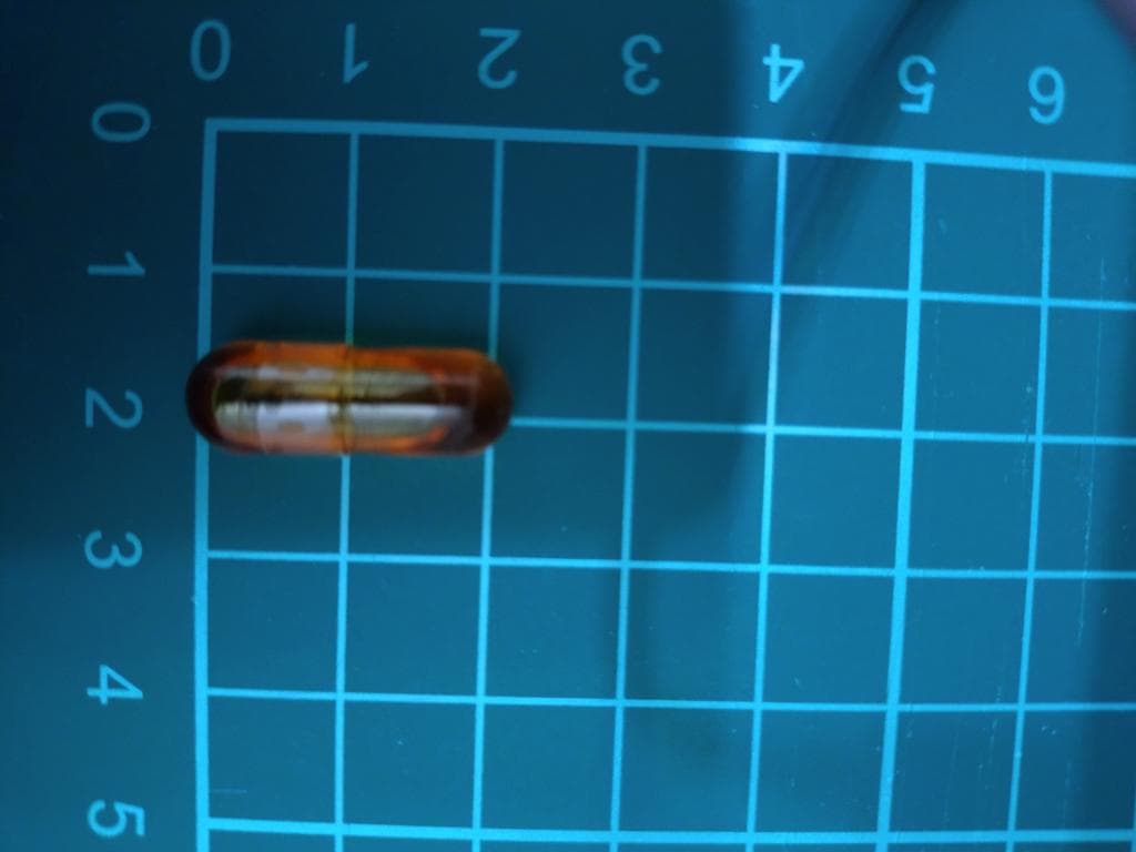 レビュー投稿画像