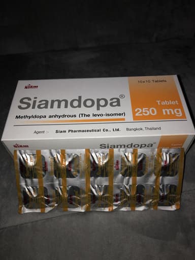 [アルドメット同成分]サイアムドパ250mg 【1箱100錠】 レビュー投稿画像 サムネイル