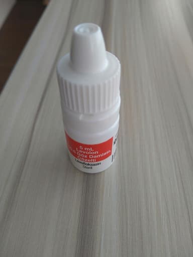 [クラビットジェネリック]レボロン点眼液0.5％ 【1本5ml】 レビュー投稿画像 サムネイル