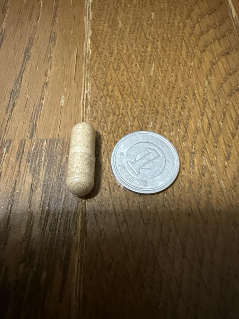 レビュー投稿画像