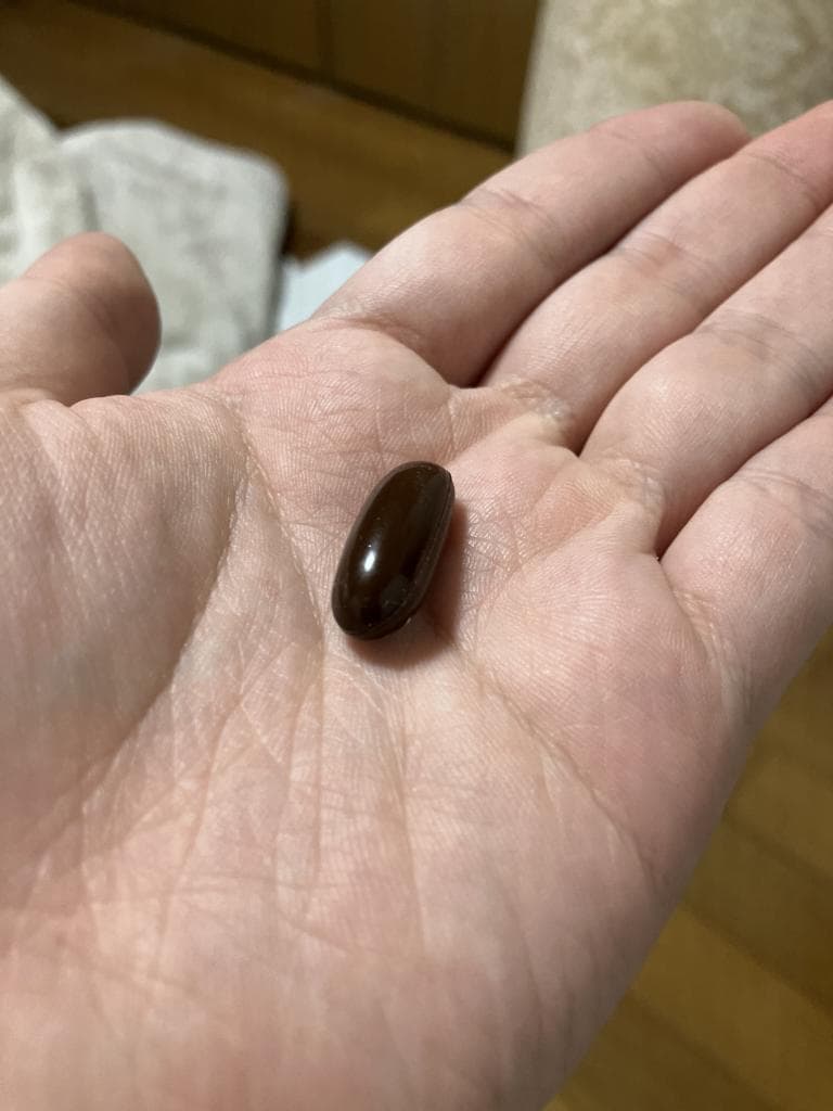 レビュー投稿画像