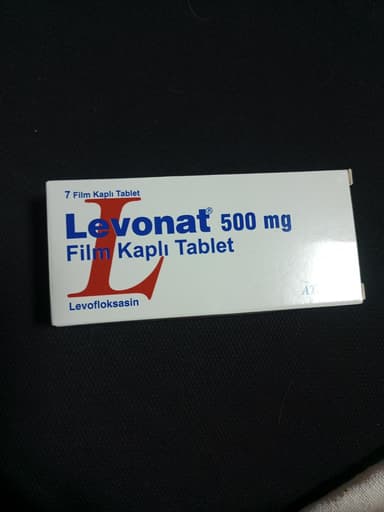 [クラビットジェネリック]レボナット500mg 【1箱7錠】 レビュー投稿画像 サムネイル