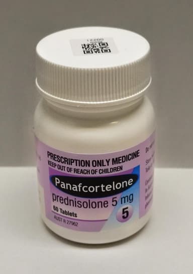 [プレドニン同成分]パナフコルテロン5mg 【1本60錠】 レビュー投稿画像 サムネイル