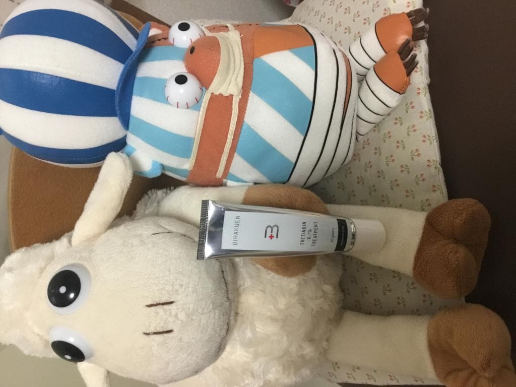 レビュー投稿画像