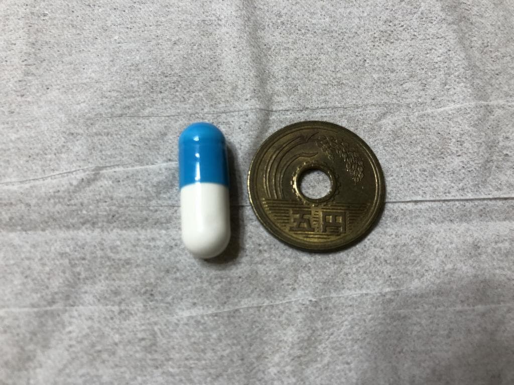 レビュー投稿画像