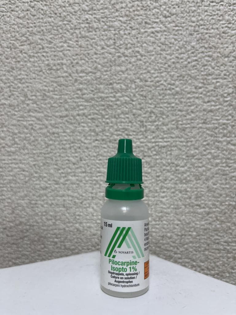 レビュー投稿画像