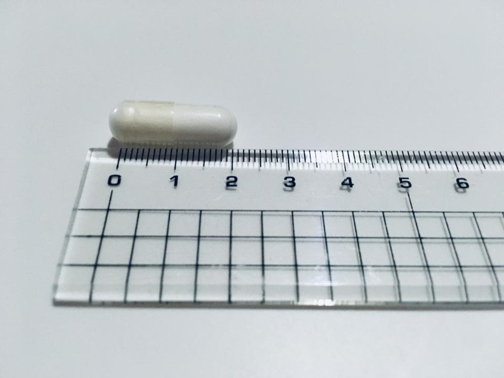 レビュー投稿画像