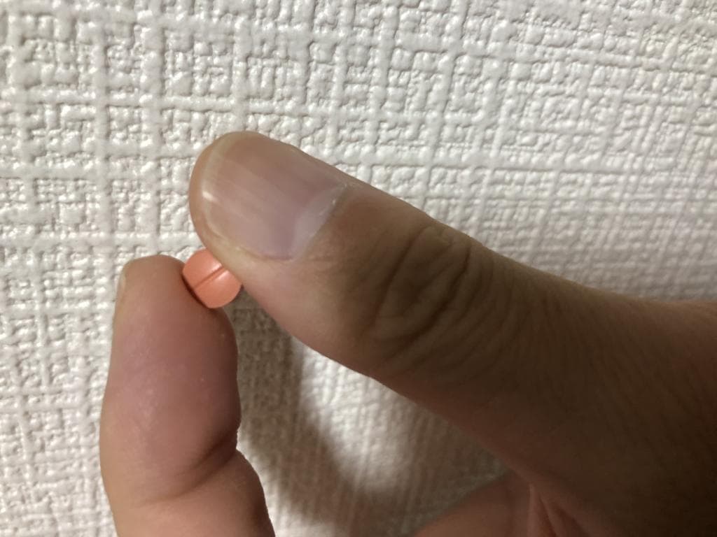 レビュー投稿画像