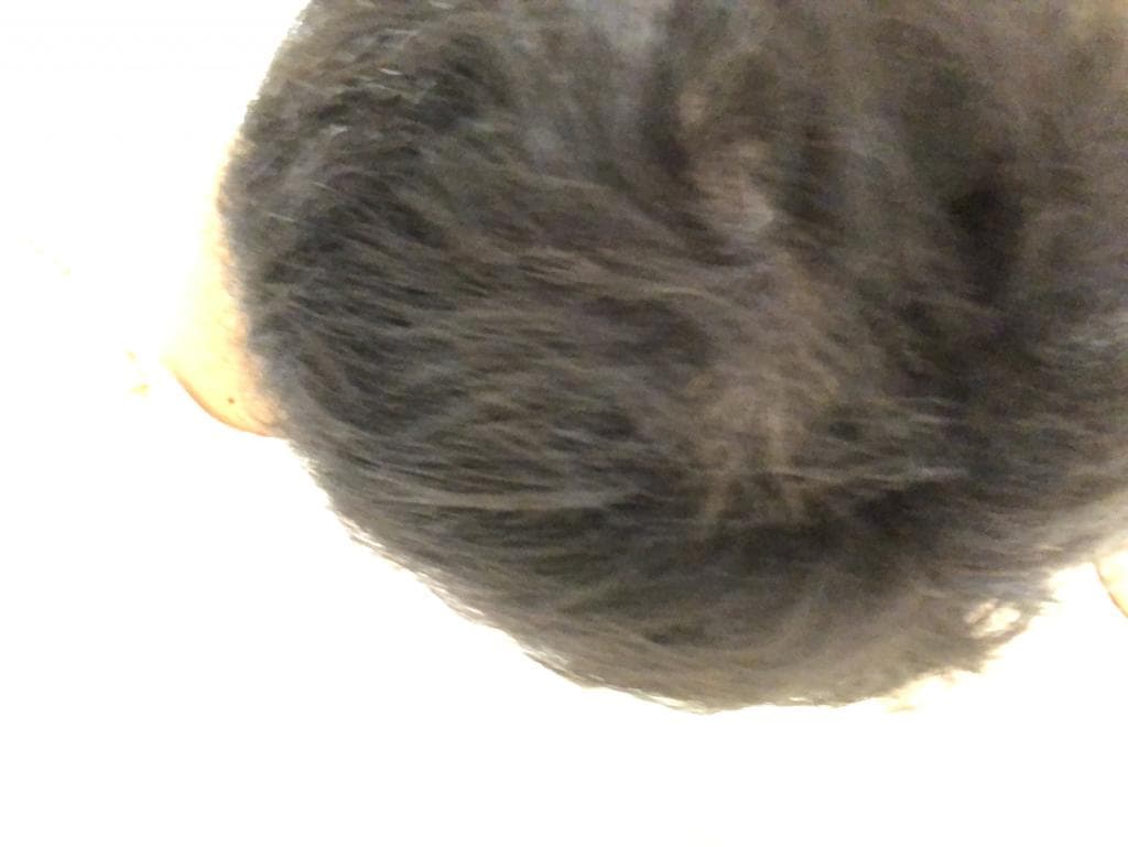 レビュー投稿画像