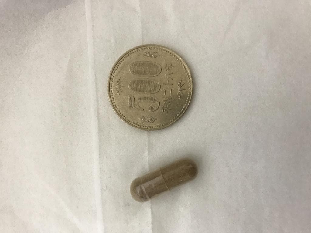 レビュー投稿画像