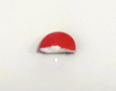レビュー投稿画像