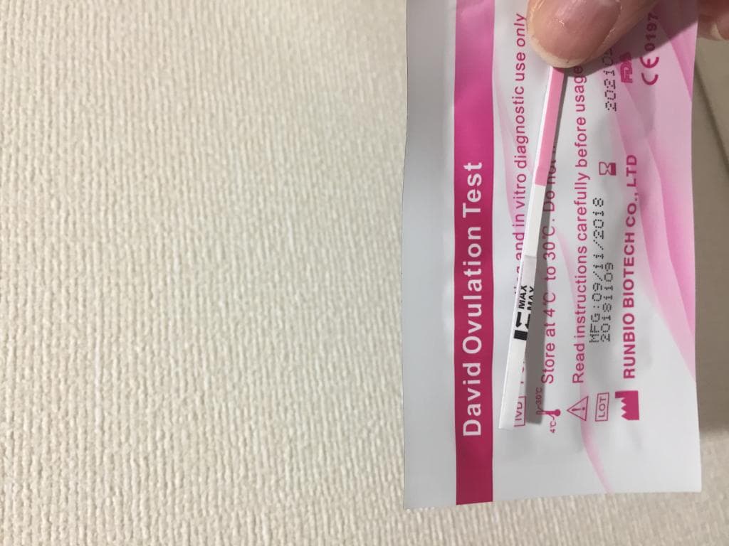 レビュー投稿画像