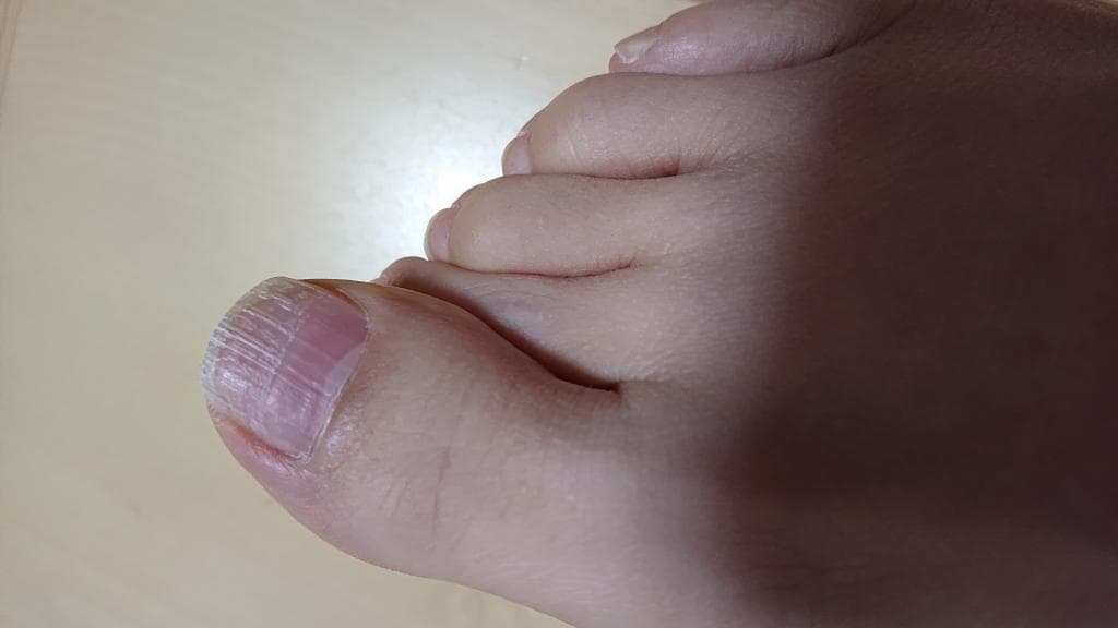 口コミ投稿画像