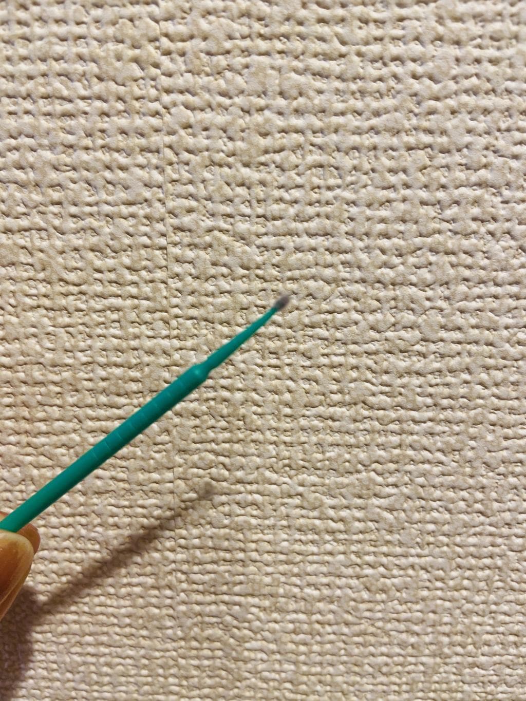 レビュー投稿画像