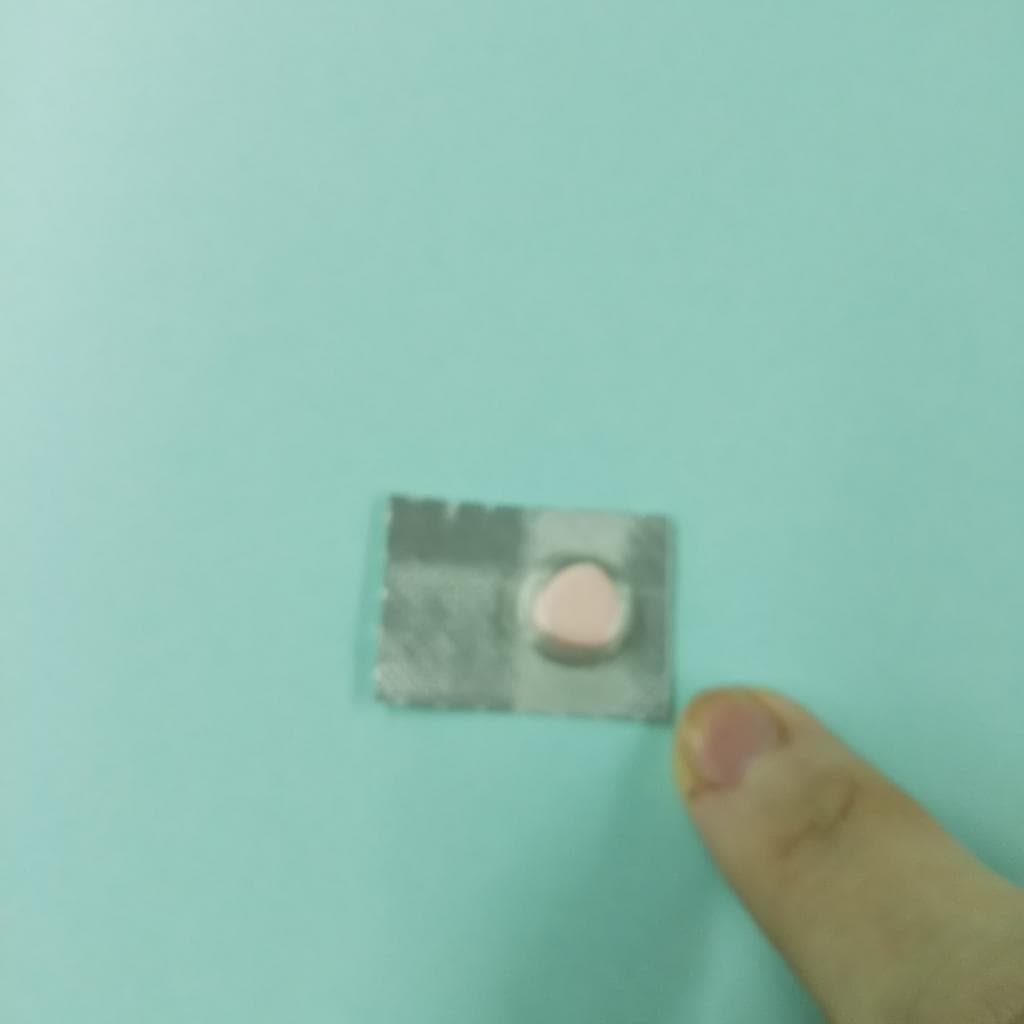レビュー投稿画像