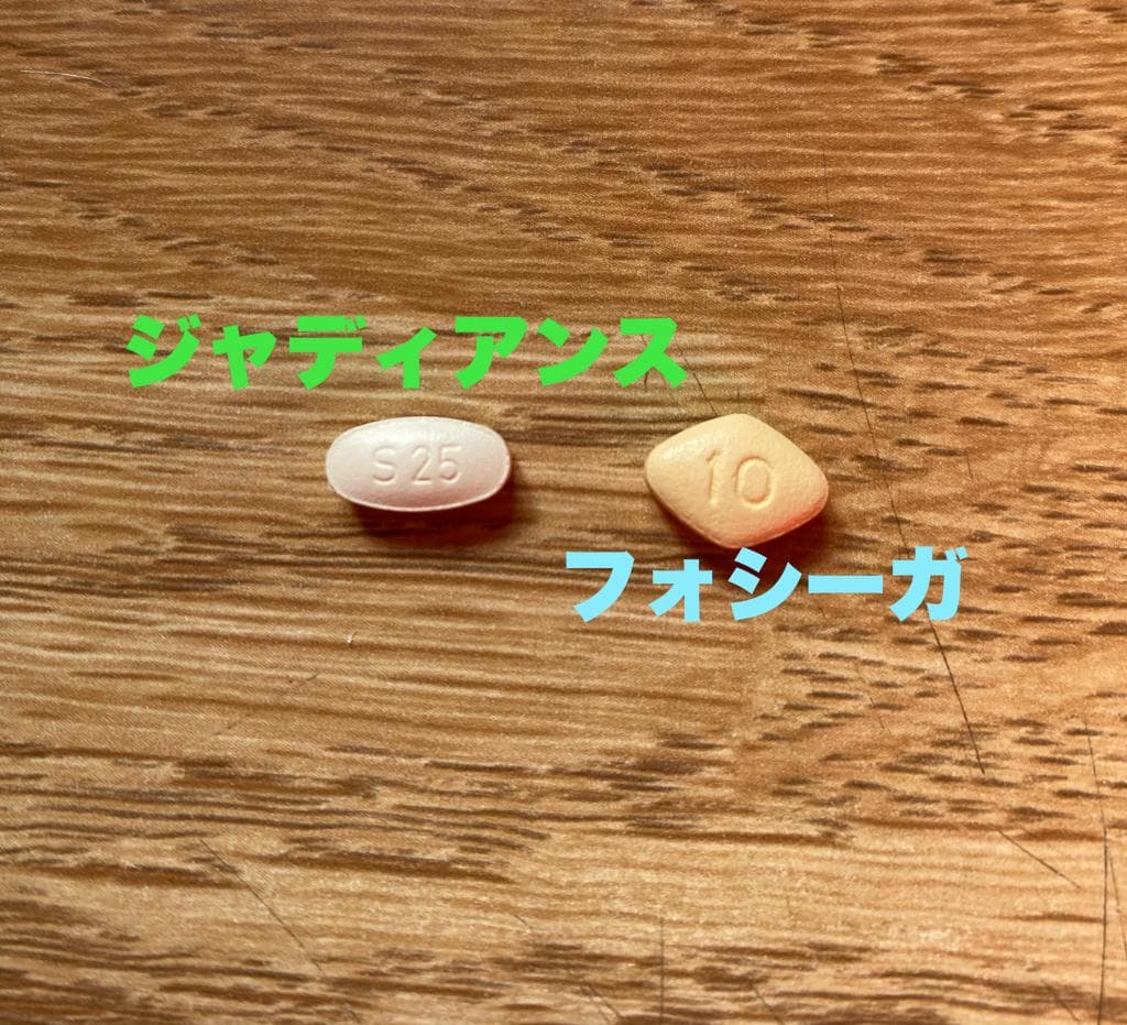レビュー投稿画像
