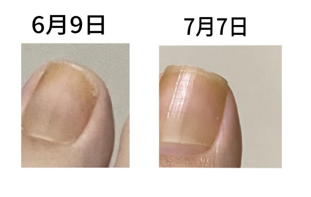 レビュー投稿画像