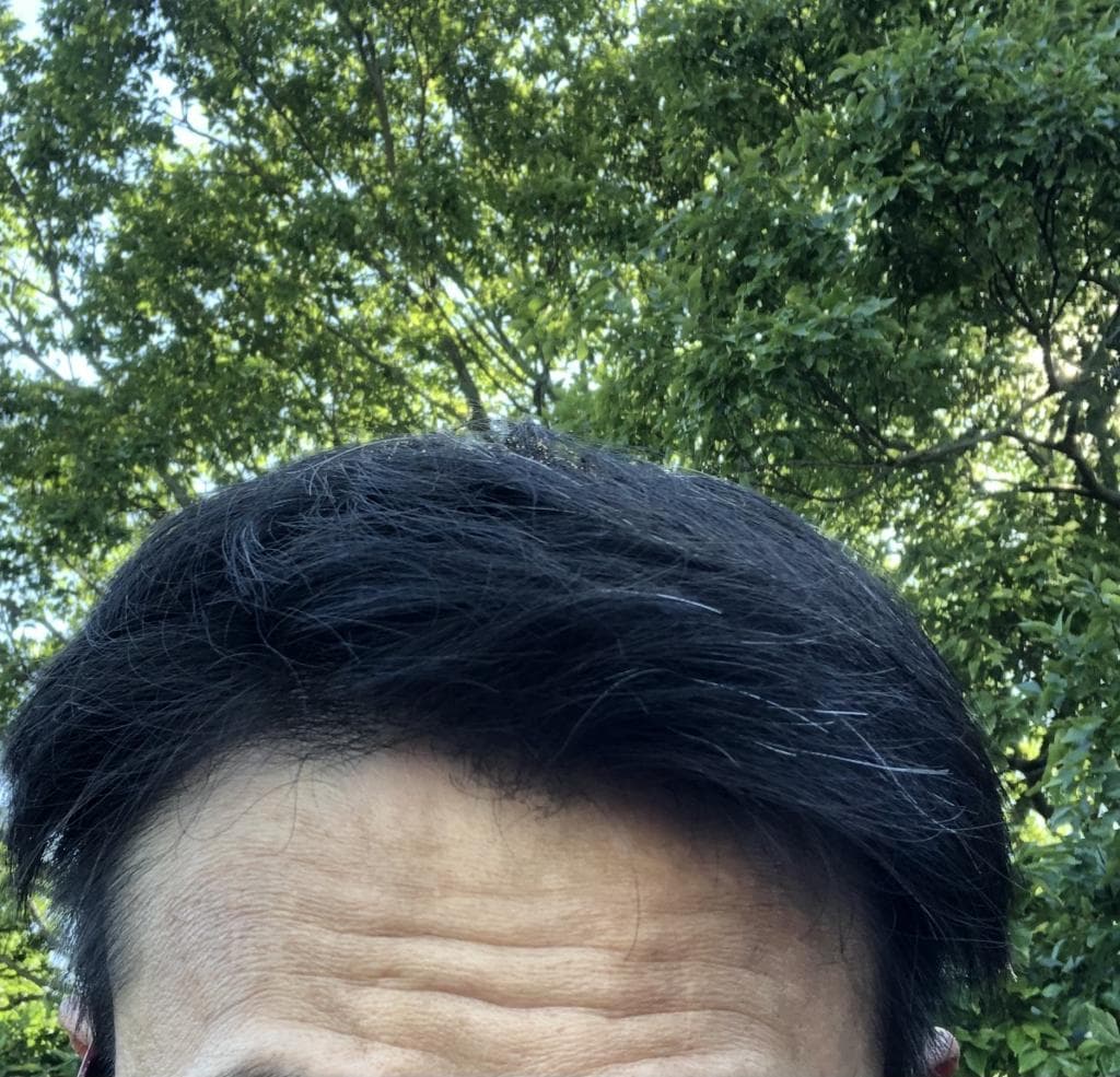 レビュー投稿画像