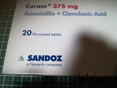 クラム375mg 【1箱20錠】 レビュー投稿画像 サムネイル