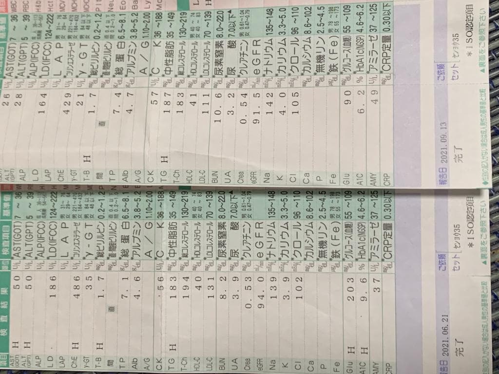 レビュー投稿画像