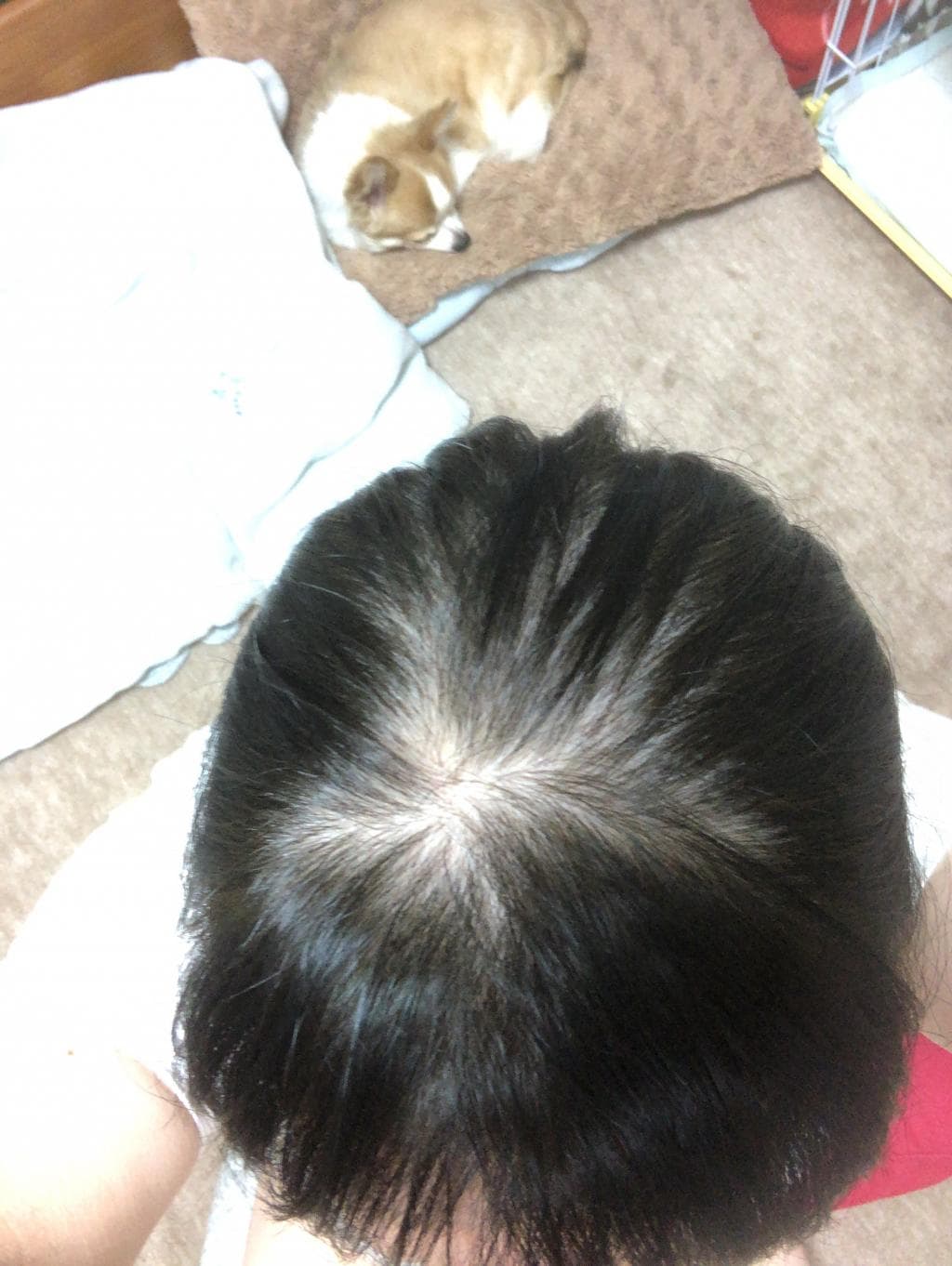 口コミ投稿画像