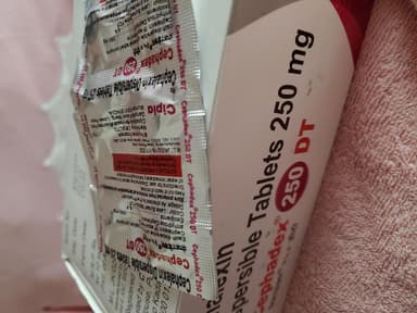 [ケフレックス同成分]セファデックス250mg 【1箱200錠】 レビュー投稿画像 サムネイル