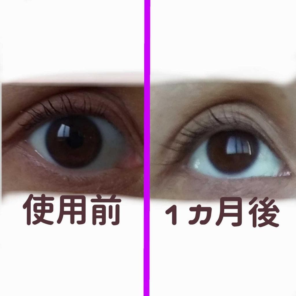 レビュー投稿画像