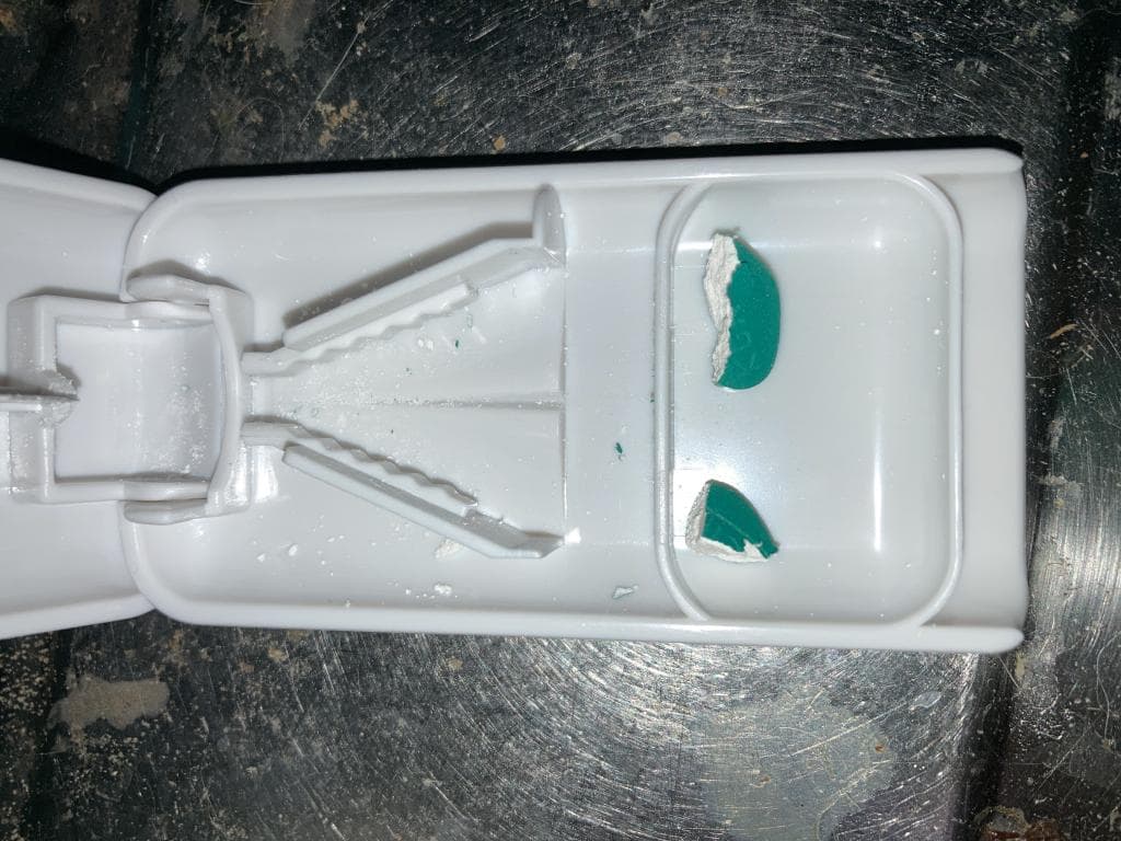 レビュー投稿画像