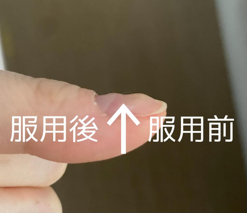 レビュー投稿画像