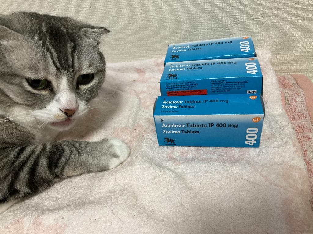 口コミ投稿画像