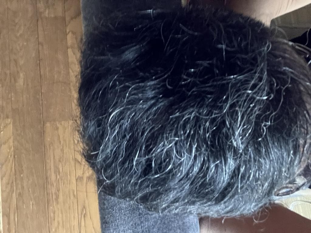レビュー投稿画像