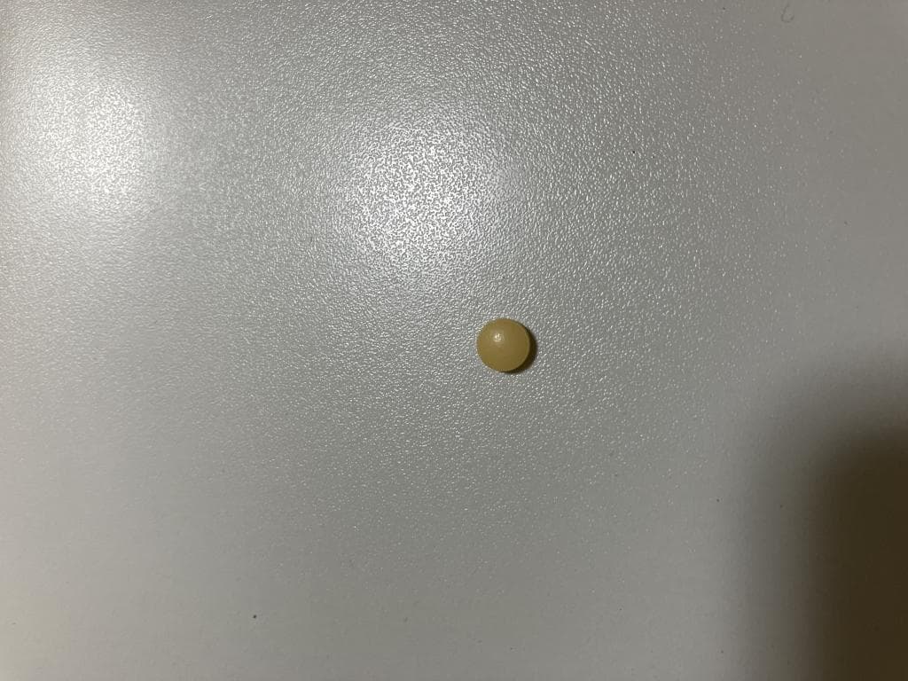 レビュー投稿画像