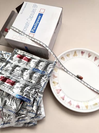 パンリパーゼ150mg 【1箱150カプセル】 レビュー投稿画像 サムネイル