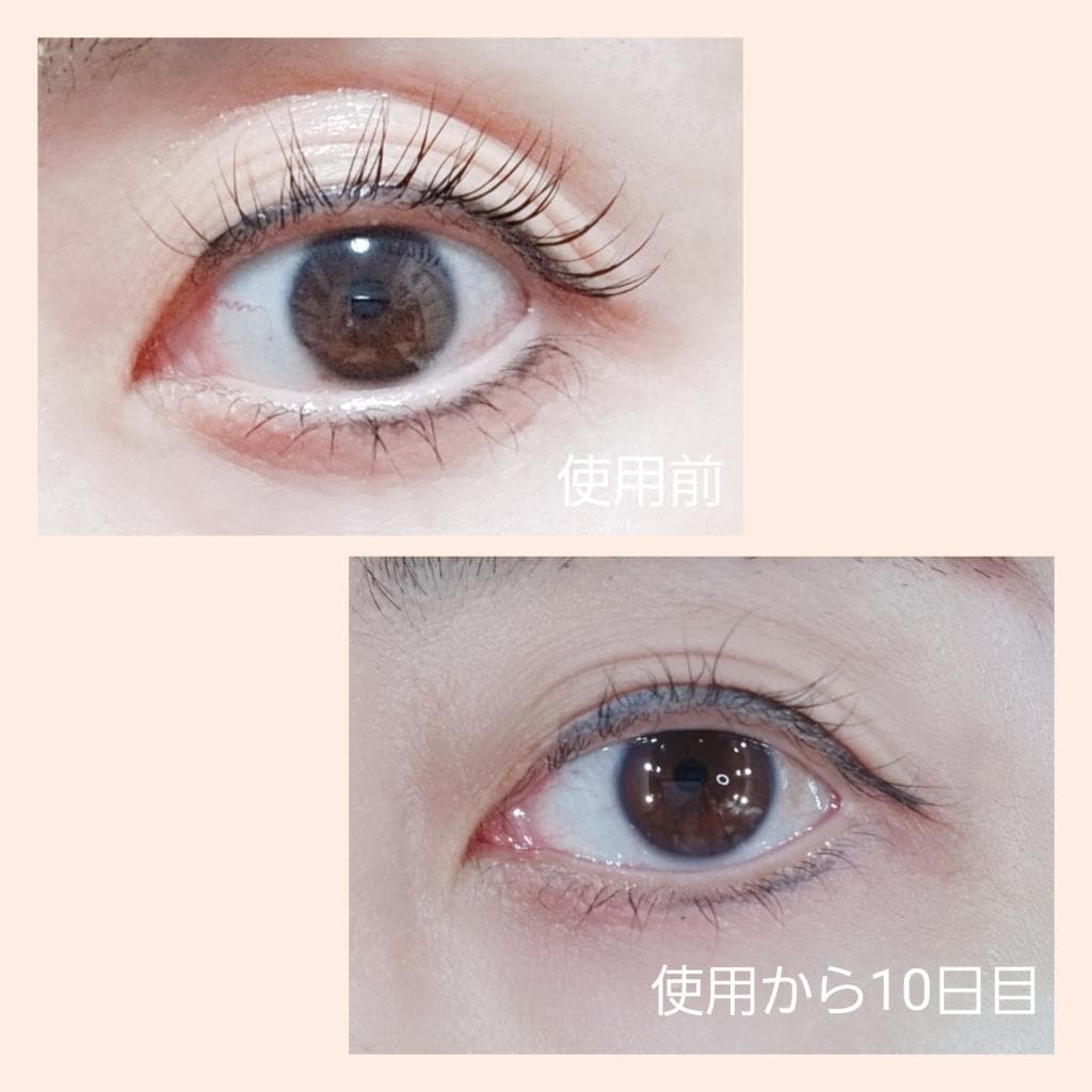 レビュー投稿画像