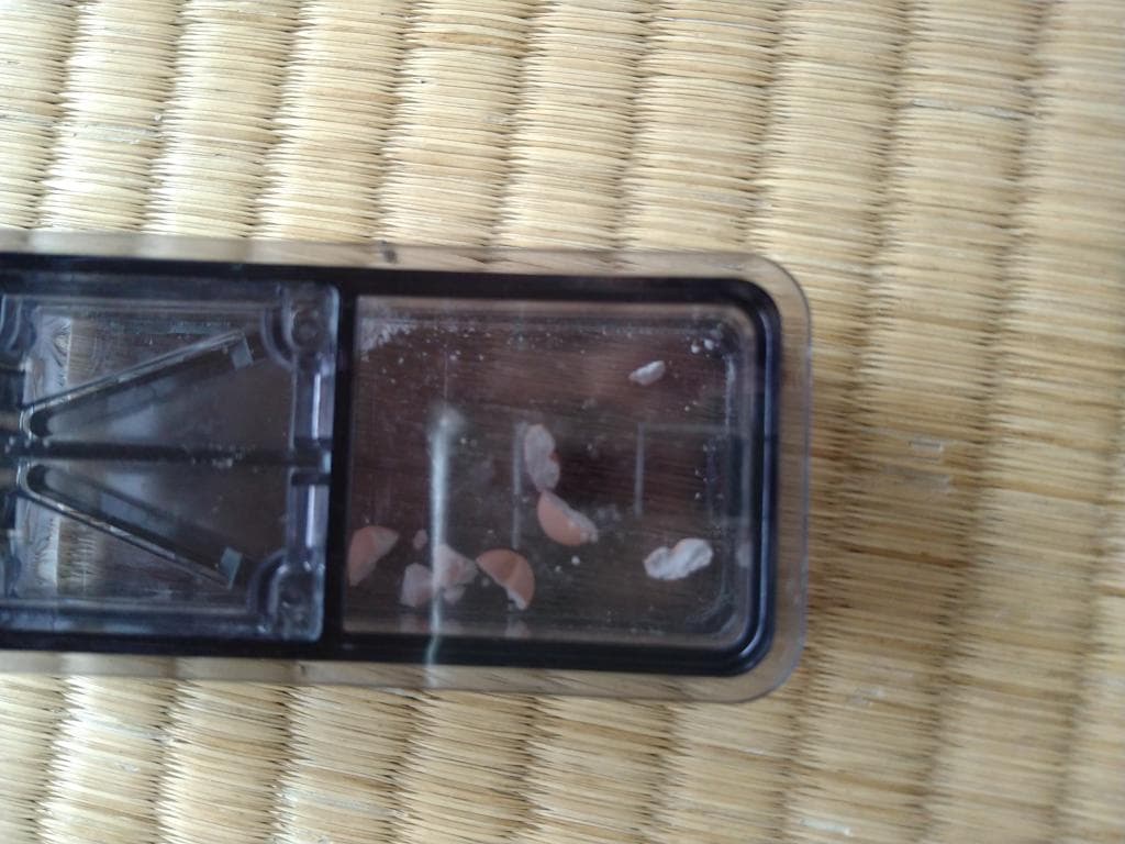 口コミ投稿画像