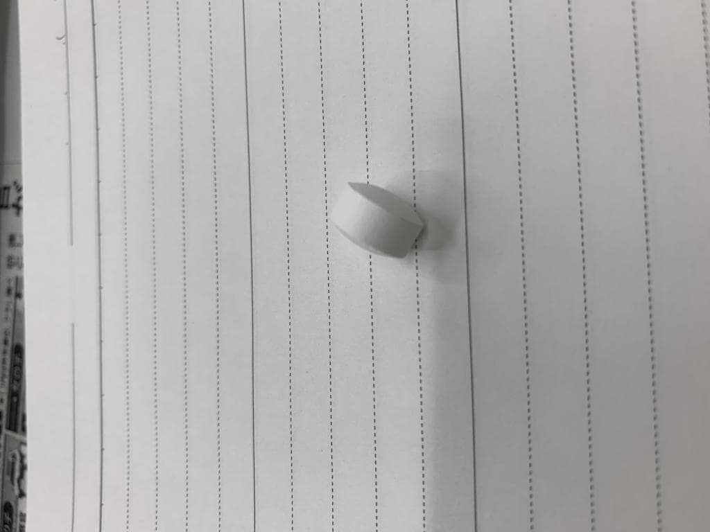 レビュー投稿画像