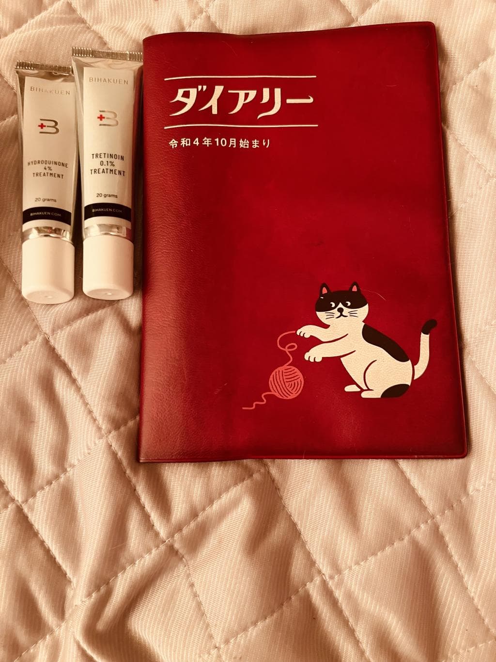 レビュー投稿画像