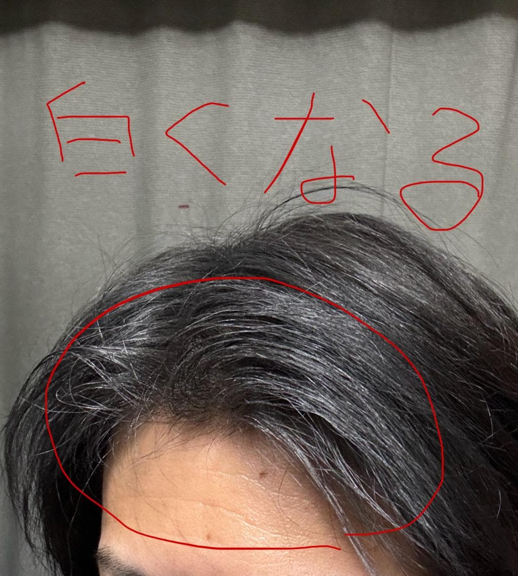 レビュー投稿画像