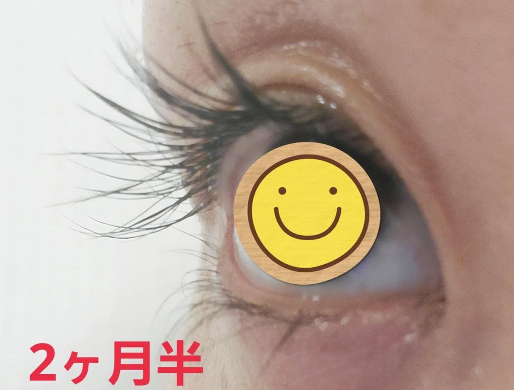 レビュー投稿画像