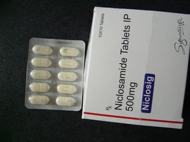 ニクロシグ500mg 【1箱100錠】 レビュー投稿画像 サムネイル