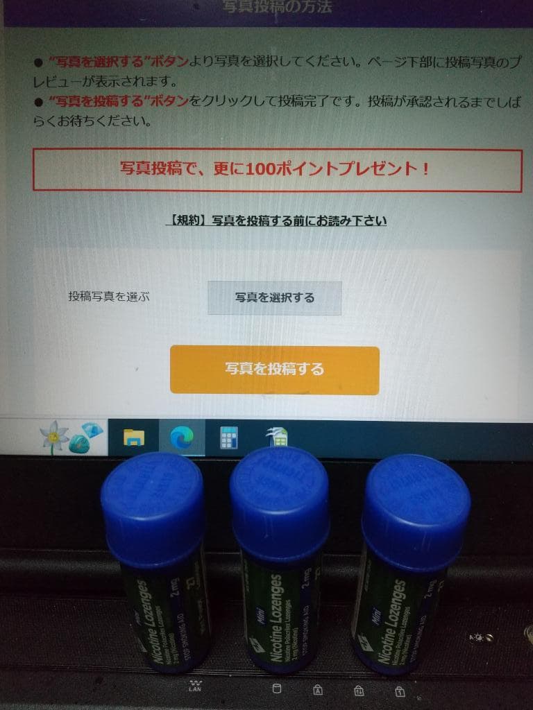 レビュー投稿画像