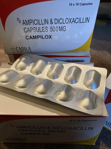 チャンピロックス250mg/250mg 【1箱100錠】 レビュー投稿画像 サムネイル