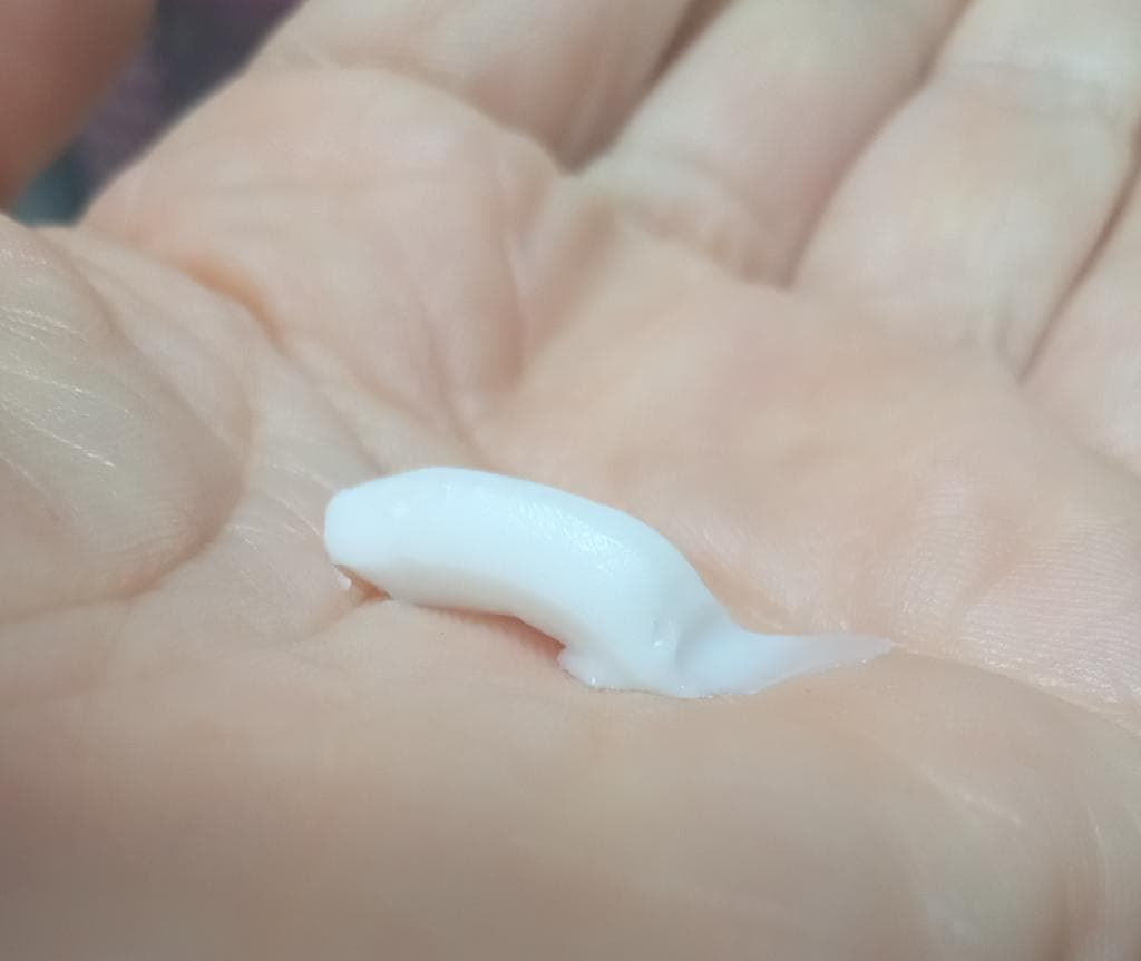 レビュー投稿画像