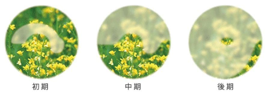 レビュー投稿画像